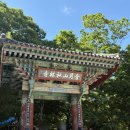 기림사 - 918 | 경주 여행 수국 꽃구경 기림사 수국 현황, 아기자기 예쁜 정원이 인상적인 사찰