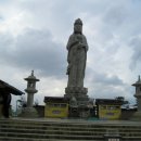 에스라인 이미지