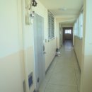 엄사면 엄사리 226 4 이미지