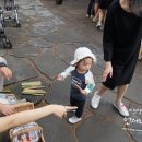 채이농장 이미지