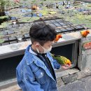 대전 오월드 방문후기