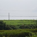 얼룩목장 이미지