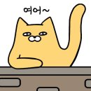 김선빈양푼갈비