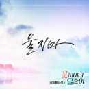 디케이 티브이데일리