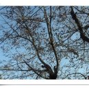 수도녹색숲모티길 이미지