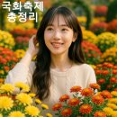 국화축제 하는곳 총정리 숨겨진 가을꽃 명소 축제 대공개! 이미지