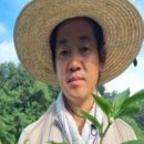 혜성농장 이미지