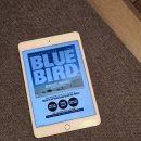 블루버드 이미지