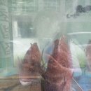 칠우불고기 이미지