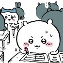 서영전산 | [자격증] 신용분석사 1부 인강x 독학 합격 후기(가성비 단기, 학기 병행, 공부기간, 공부법, 전공자...