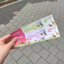 코끼리가든 | 서울대공원 2026년 벚꽃 축제 실시간 후기, 주차장부터 코끼리열차 리프트 꿀팁까지 총정리