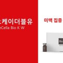 더블유오케이