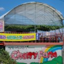 청학농장 이미지