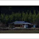 대나무집 이미지