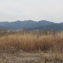 삼락강변공원 이미지