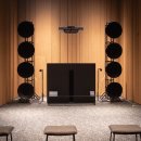 소리의 숲 이미지