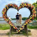 (6/24반)꽃처럼 피어나는 캔들 | [제주 에코랜드] 12개월 아기와 함께한 제주 에코랜드 기차여행 후기💕