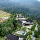 한겨레태권도 이미지