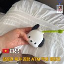 일개미식당 | 베트남 다낭 항공권 특가 청주 공항 출발 후기 내돈내산 할인코드