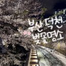 동원아파트경로당 | 부산 벚꽃명소 추천 덕천천 🌸｜밤 벚꽃 야경 산책 후기 (생각보다 사람 많았던 날)