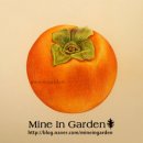 보타니컬아트 (초급) 이미지