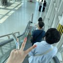 김가네 (-태현) 이딸리아 여름 휴가 Day 1 &amp; Day 2 (로마)