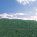 근흥목장 이미지