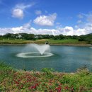 라온CC 골프연습장 이미지