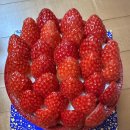 파리바게뜨(신평점) | 파리바게뜨 베리밤케이크 후기 | 케데헌 케이크도 구경했어요