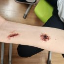 성일고등학교 이미지