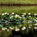 나만의 일러스트 이미지