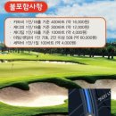 인터그램 네이버블로그