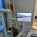 고구려홍대점 | 2월 일상