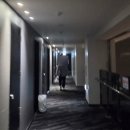 성진축사 | [250830-31]데이식스 콘서트후기를 빙자한 기냥 일기