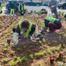 구월4동-30 이미지