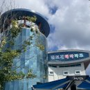 운림 | [진도 여행 가볼만한 곳] 진도개테마파크/신호등 회관/운림산방 내돈내산 후기