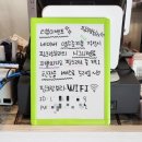 핑크랑보라 이미지