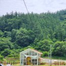 4월의밀밭 이미지