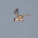 백마공원 이미지