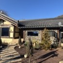 거멍곶낭 이미지