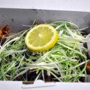 파닭 파닭 이미지