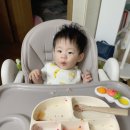 +300, 301일 생후 9개월아기 육아일기: 단감테마공원, 아기울타리 설치