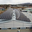 포항태양광발전소 이미지