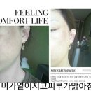제이셀바이오