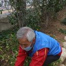 (주)청룡자원 Daum카페