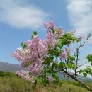 성주관광주유소 이미지