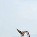 새울신협 이미지