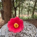 한라모텔 이미지