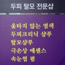 오땡큐천연염색헤어샵 | 청도 미용실 오땡큐, 펌과 커트까지 해결하는 청도 염색방 솔직 후기