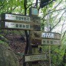 팔봉김밥 이미지